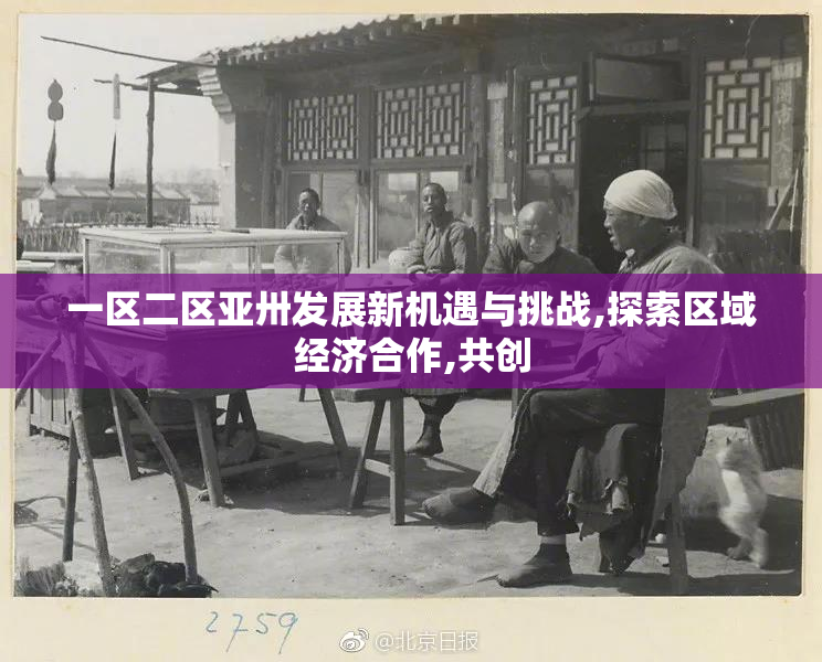 一区二区亚卅发展新机遇与挑战,探索区域经济合作,共创