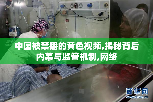 中国被禁播的黄色视频,揭秘背后内幕与监管机制,网络