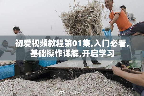 初爱视频教程第01集,入门必看,基础操作详解,开启学习