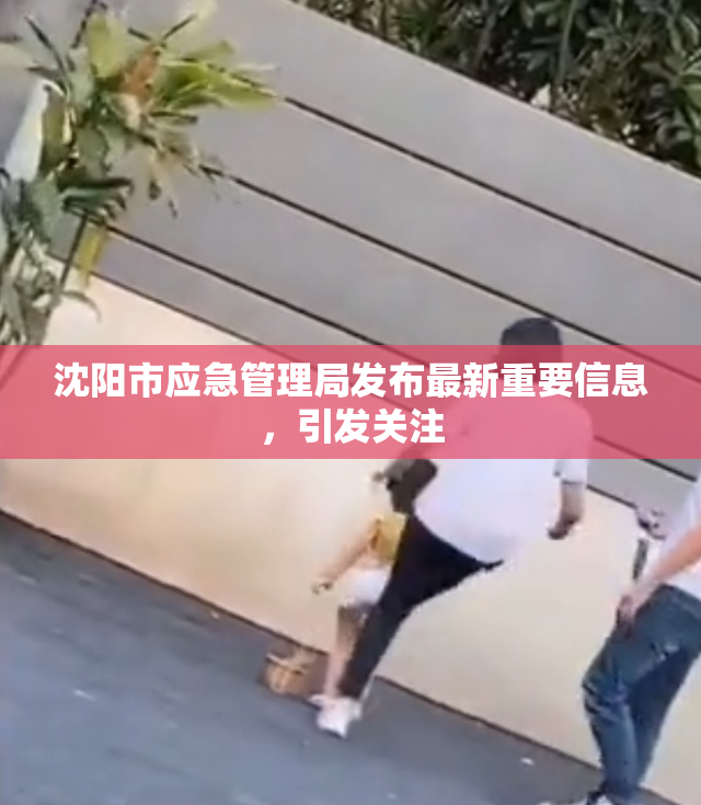 沈阳市应急管理局发布最新重要信息，引发关注
