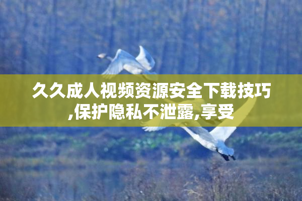 久久成人视频资源安全下载技巧,保护隐私不泄露,享受