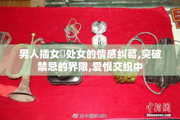 男人插女屄处女的情感纠葛,突破禁忌的界限,爱恨交织中