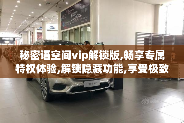 秘密语空间vip解锁版,畅享专属特权体验,解锁隐藏功能,享受极致