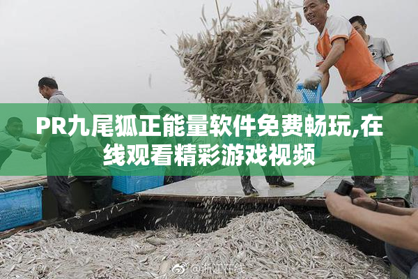 PR九尾狐正能量软件免费畅玩,在线观看精彩游戏视频