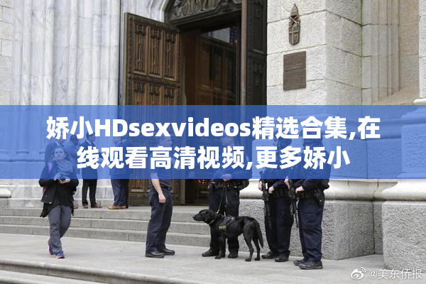 娇小HDsexvideos精选合集,在线观看高清视频,更多娇小
