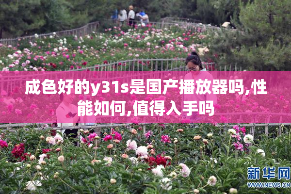成色好的y31s是国产播放器吗,性能如何,值得入手吗
