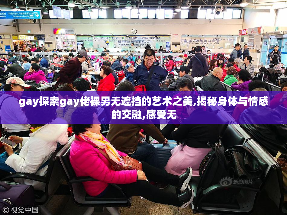 gay探索gay佬裸男无遮挡的艺术之美,揭秘身体与情感的交融,感受无