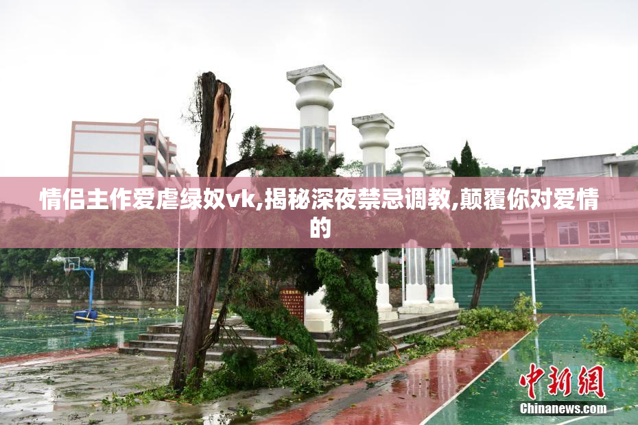 情侣主作爱虐绿奴vk,揭秘深夜禁忌调教,颠覆你对爱情的