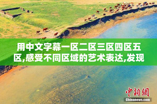 用中文字幕一区二区三区四区五区,感受不同区域的艺术表达,发现