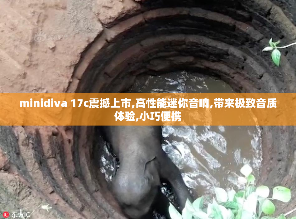 minidiva 17c震撼上市,高性能迷你音响,带来极致音质体验,小巧便携