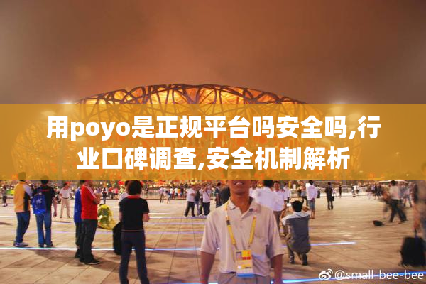 用poyo是正规平台吗安全吗,行业口碑调查,安全机制解析