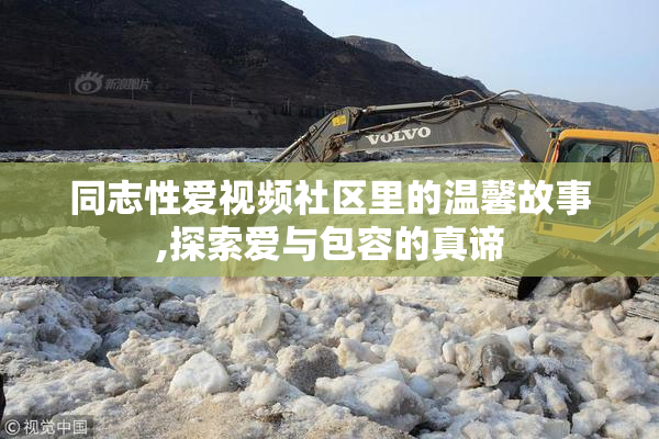 同志性爱视频社区里的温馨故事,探索爱与包容的真谛