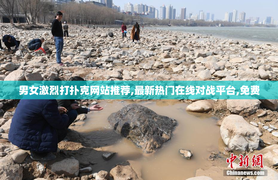 男女激烈打扑克网站推荐,最新热门在线对战平台,免费