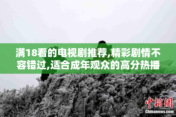 满18看的电视剧推荐,精彩剧情不容错过,适合成年观众的高分热播剧集