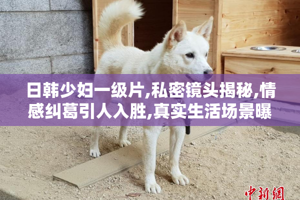 日韩少妇一级片,私密镜头揭秘,情感纠葛引人入胜,真实生活场景曝光