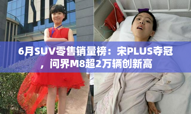 6月SUV零售销量榜：宋PLUS夺冠，问界M8超2万辆创新高