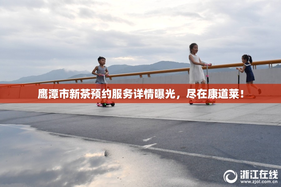 鹰潭市新茶预约服务详情曝光，尽在康道莱！