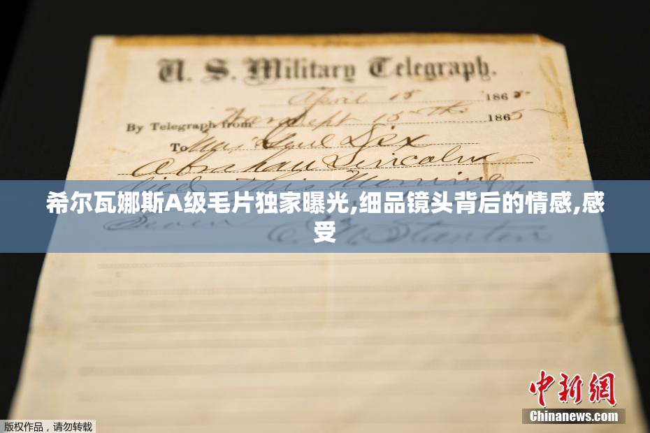 希尔瓦娜斯A级毛片独家曝光,细品镜头背后的情感,感受