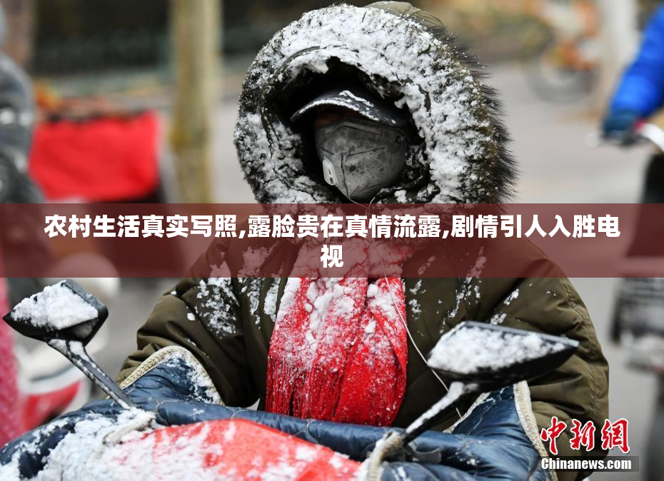 农村生活真实写照,露脸贵在真情流露,剧情引人入胜电视