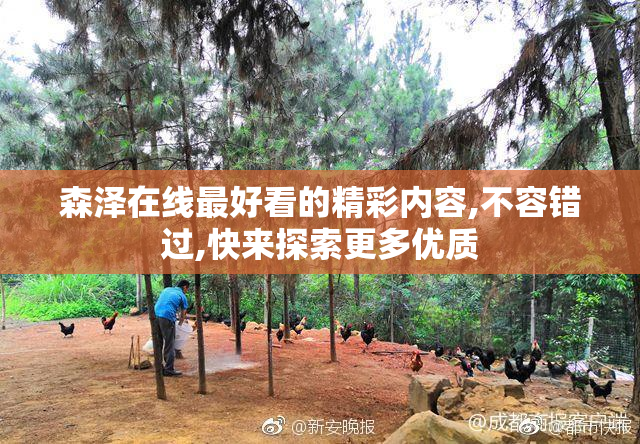 森泽在线最好看的精彩内容,不容错过,快来探索更多优质