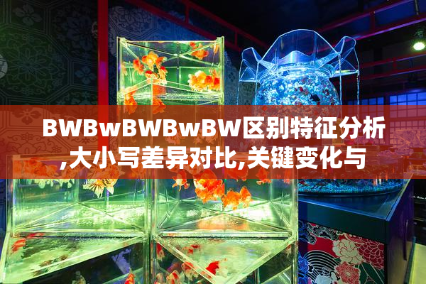 BWBwBWBwBW区别特征分析,大小写差异对比,关键变化与