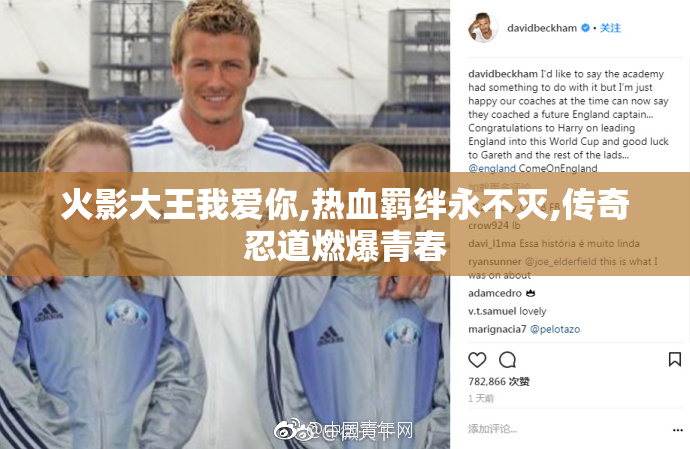 火影大王我爱你,热血羁绊永不灭,传奇忍道燃爆青春