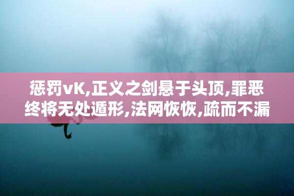 惩罚vK,正义之剑悬于头顶,罪恶终将无处遁形,法网恢恢,疏而不漏
