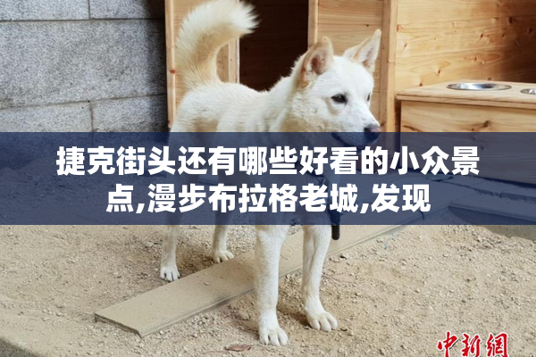 捷克街头还有哪些好看的小众景点,漫步布拉格老城,发现