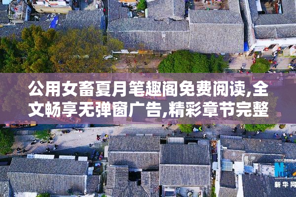 公用女畜夏月笔趣阁免费阅读,全文畅享无弹窗广告,精彩章节完整