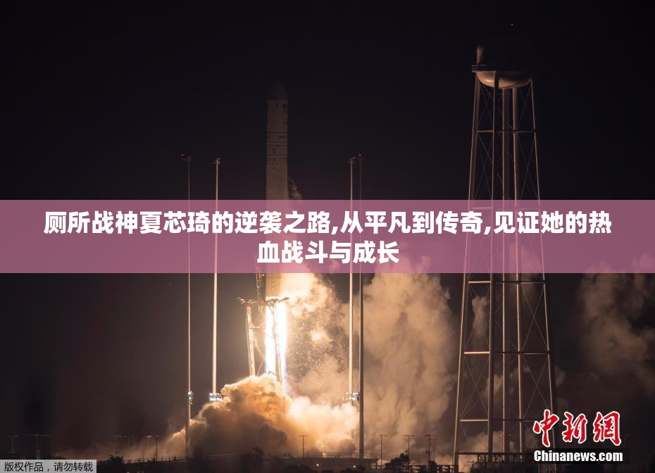 厕所战神夏芯琦的逆袭之路,从平凡到传奇,见证她的热血战斗与成长