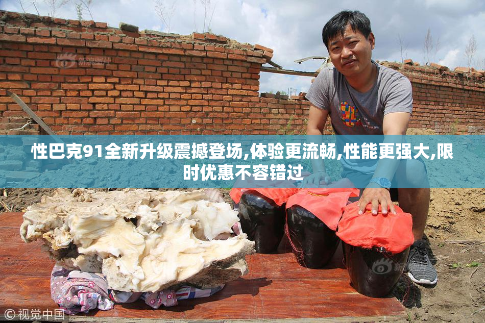 性巴克91全新升级震撼登场,体验更流畅,性能更强大,限时优惠不容错过