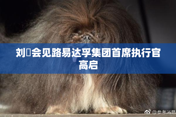 刘珺会见路易达孚集团首席执行官高启