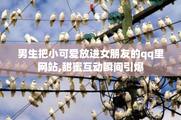 男生把小可爱放进女朋友的qq里网站,甜蜜互动瞬间引爆