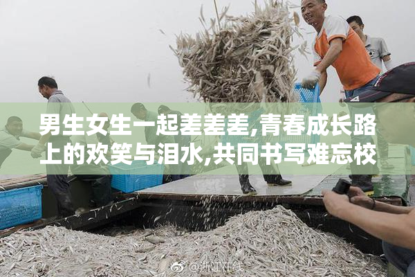 男生女生一起差差差,青春成长路上的欢笑与泪水,共同书写难忘校园