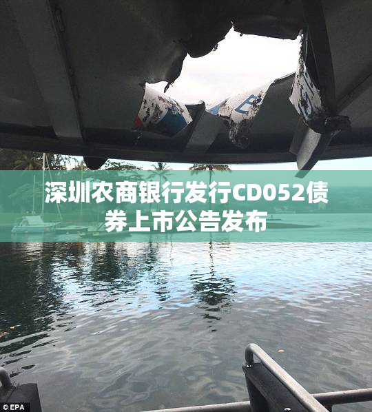 深圳农商银行发行CD052债券上市公告发布