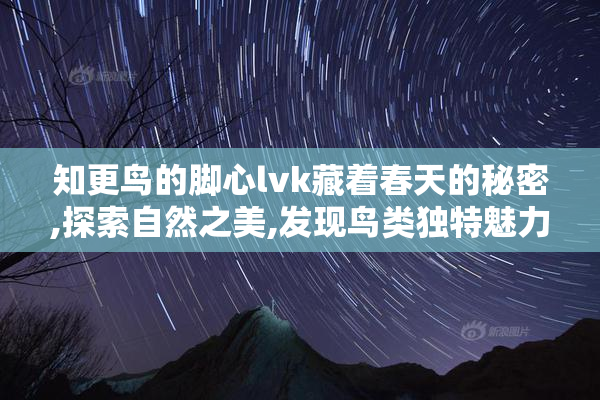 知更鸟的脚心lvk藏着春天的秘密,探索自然之美,发现鸟类独特魅力