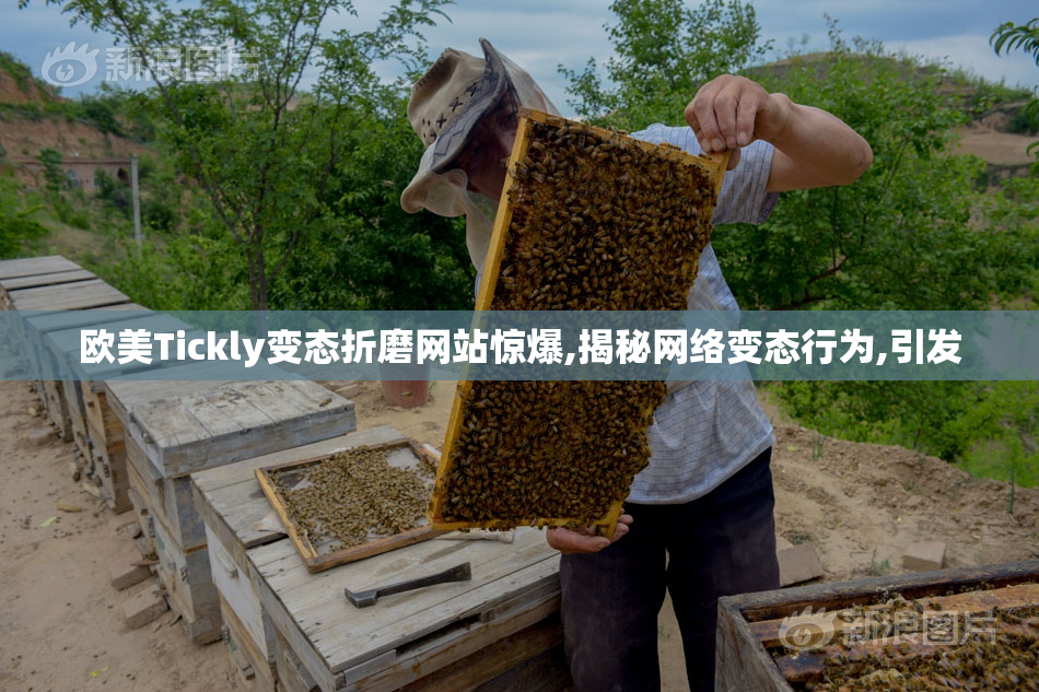 欧美Tickly变态折磨网站惊爆,揭秘网络变态行为,引发