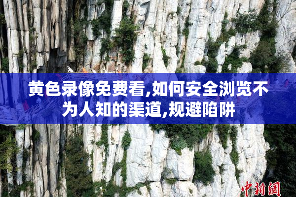 黄色录像免费看,如何安全浏览不为人知的渠道,规避陷阱