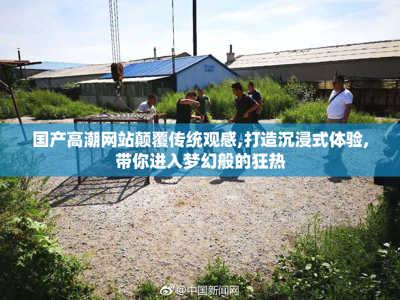 国产高潮网站颠覆传统观感,打造沉浸式体验,带你进入梦幻般的狂热