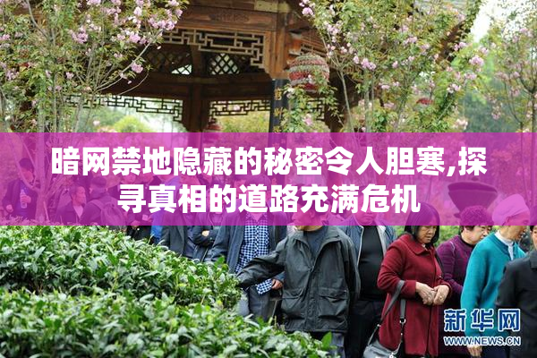 暗网禁地隐藏的秘密令人胆寒,探寻真相的道路充满危机