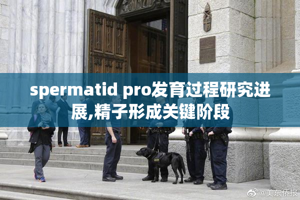 spermatid pro发育过程研究进展,精子形成关键阶段
