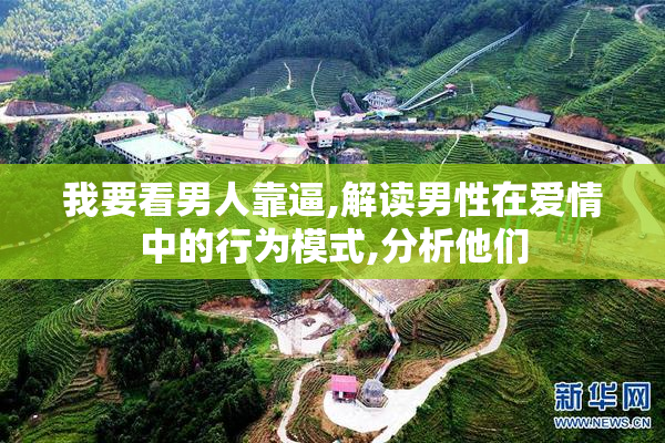 我要看男人靠逼,解读男性在爱情中的行为模式,分析他们