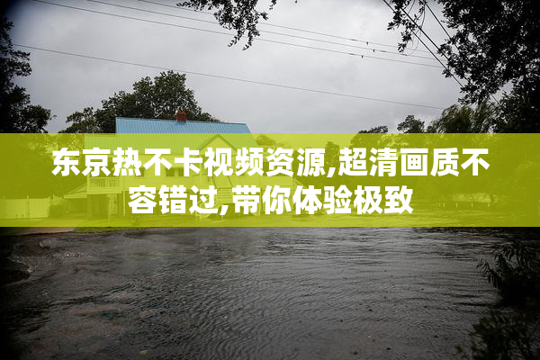 东京热不卡视频资源,超清画质不容错过,带你体验极致