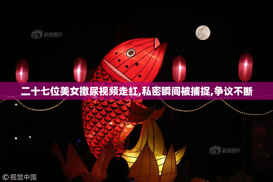 二十七位美女撒尿视频走红,私密瞬间被捕捉,争议不断