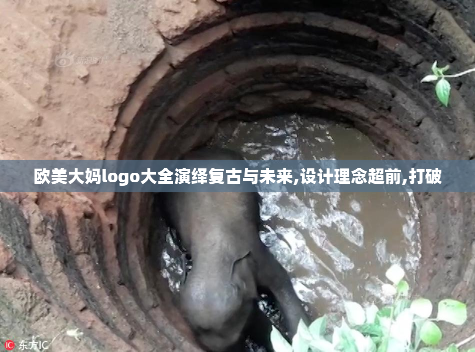 欧美大妈logo大全演绎复古与未来,设计理念超前,打破