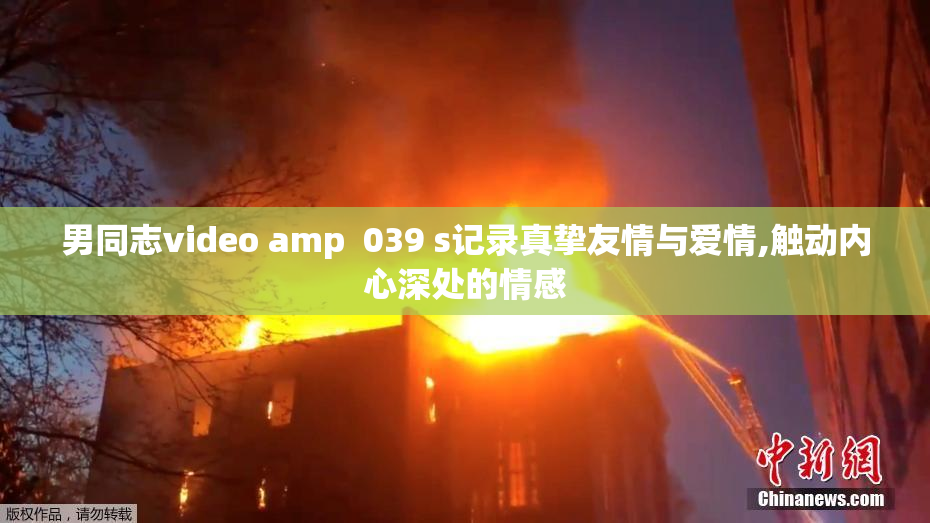 男同志video amp  039 s记录真挚友情与爱情,触动内心深处的情感