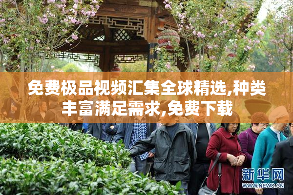 免费极品视频汇集全球精选,种类丰富满足需求,免费下载