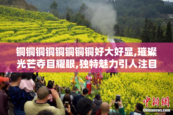 铜铜铜铜铜铜铜铜好大好显,璀璨光芒夺目耀眼,独特魅力引人注目