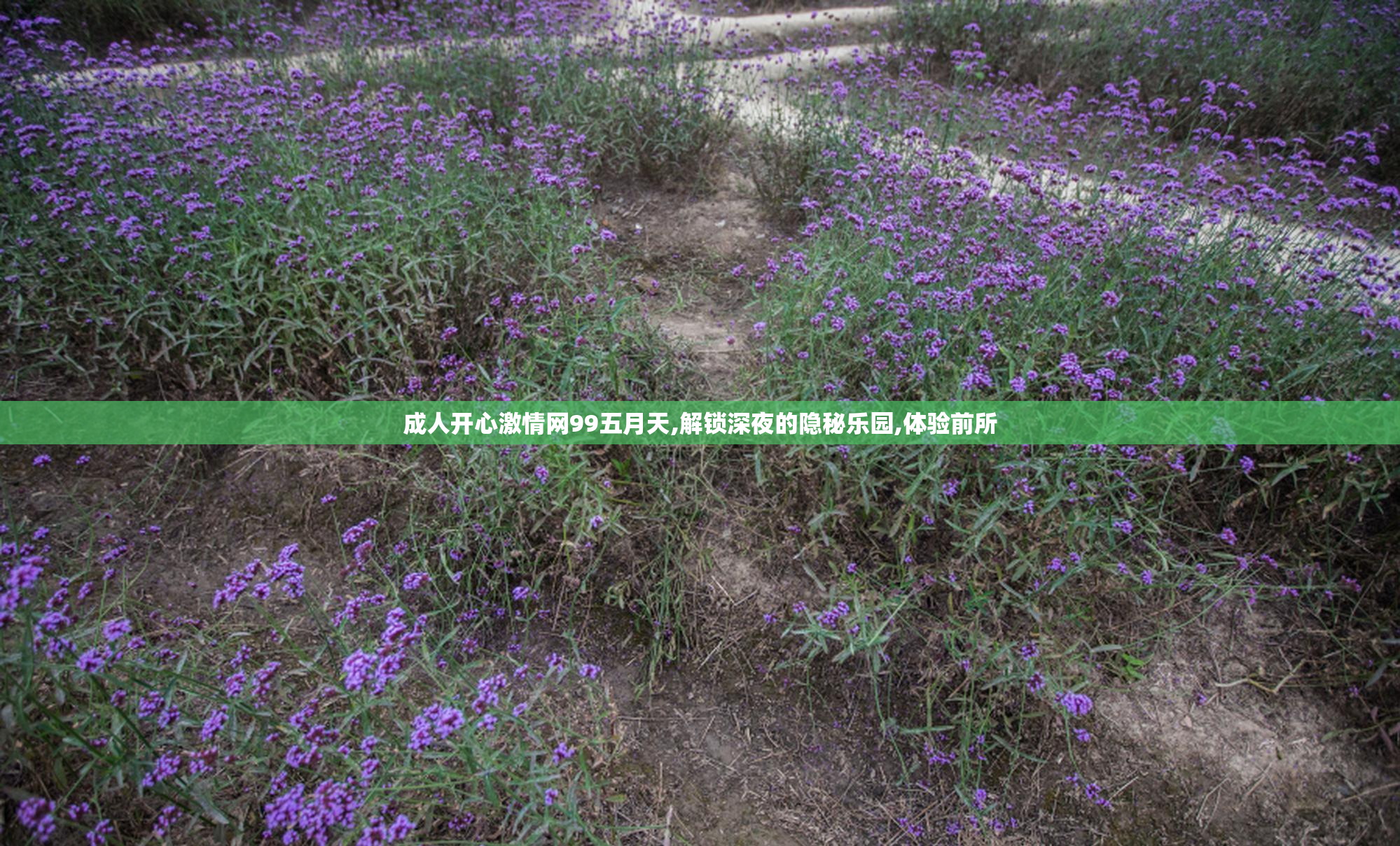成人开心激情网99五月天,解锁深夜的隐秘乐园,体验前所