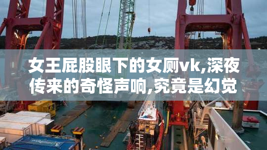 女王屁股眼下的女厕vk,深夜传来的奇怪声响,究竟是幻觉